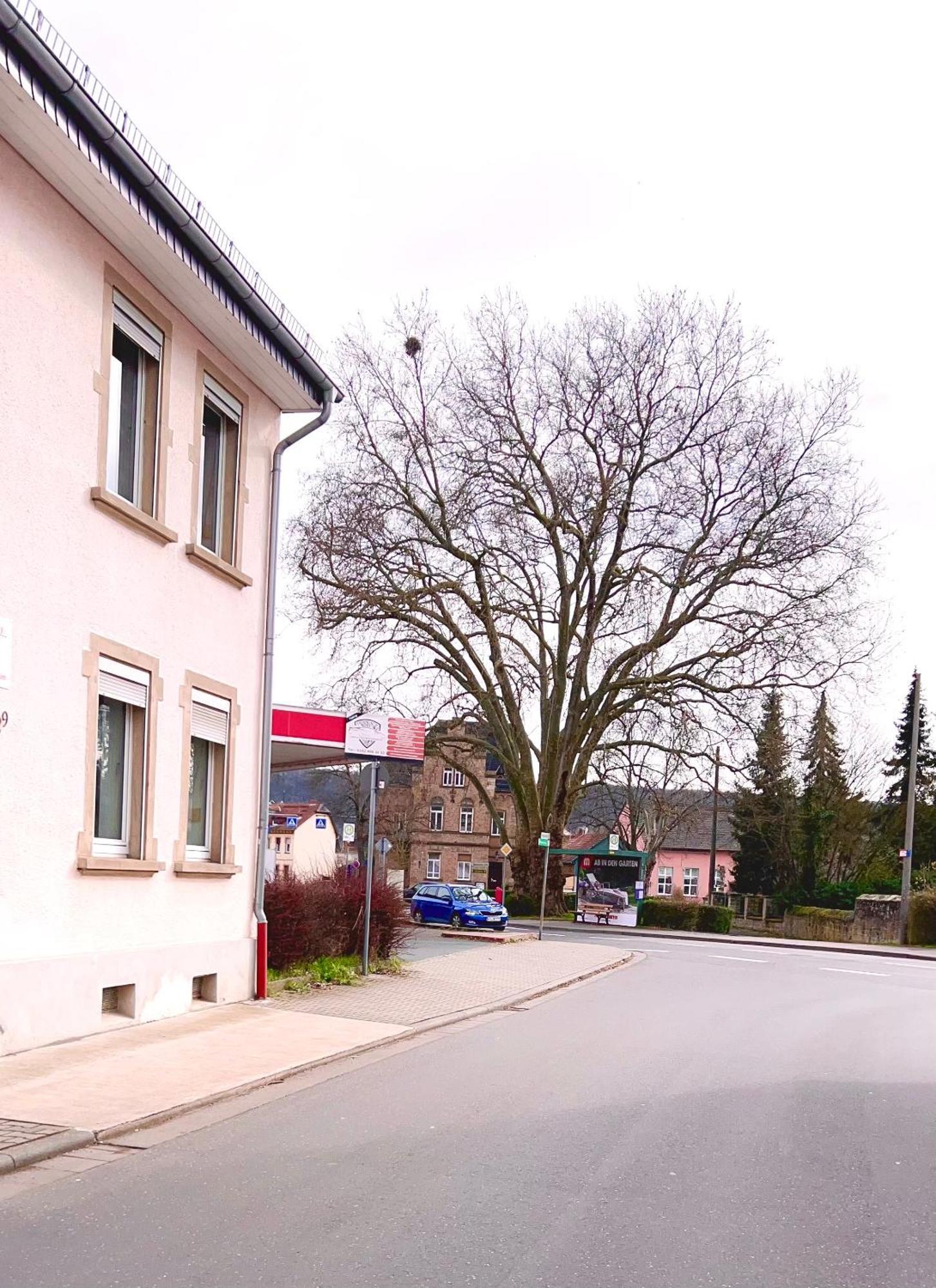 Vinaring Homestay Bad Sobernheim Bagian luar foto